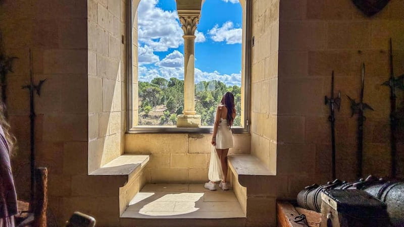 Madrid: Segovia & Ávila Full Day with Alcázar & Wall Tickets - One hour to eat and wander in Segovia
