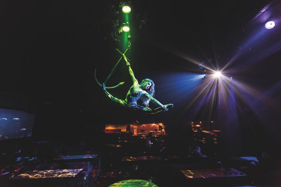 Magaluf: Pirates Adventure Dinner Show Ticket - Choosing between Main Deck and VVIP seating