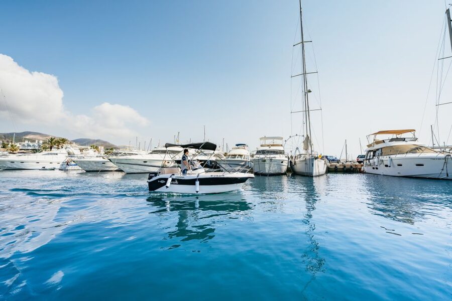 Malaga: Boat Rental without a License for Dolphin Watching - Dolphin watching without a promise