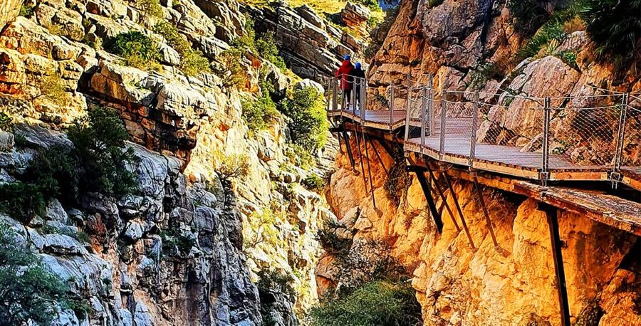 Málaga: Caminito del Rey Guided Tour with Transportation - What the gorge walk feels like at 100 meters high