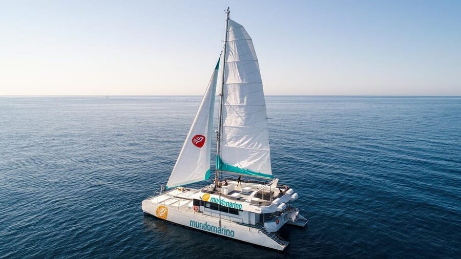 Malaga: Catamaran Sailing Cruise with Swimming & Optional DJ - Sailing, or simply riding on a catamaran?