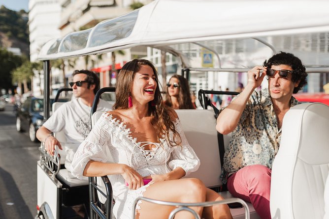Malaga Expert Tour with Local Guide in Eco Tuk Tuk Private - Starting at Plaza de la Marina and the old center