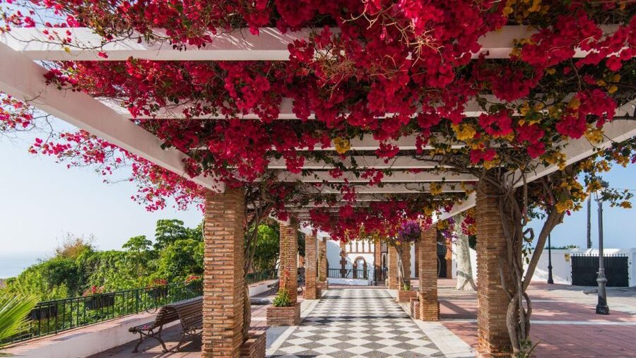 Malaga: Frigiliana & Nerja Tour with Local Product Tastings - Key points at a glance