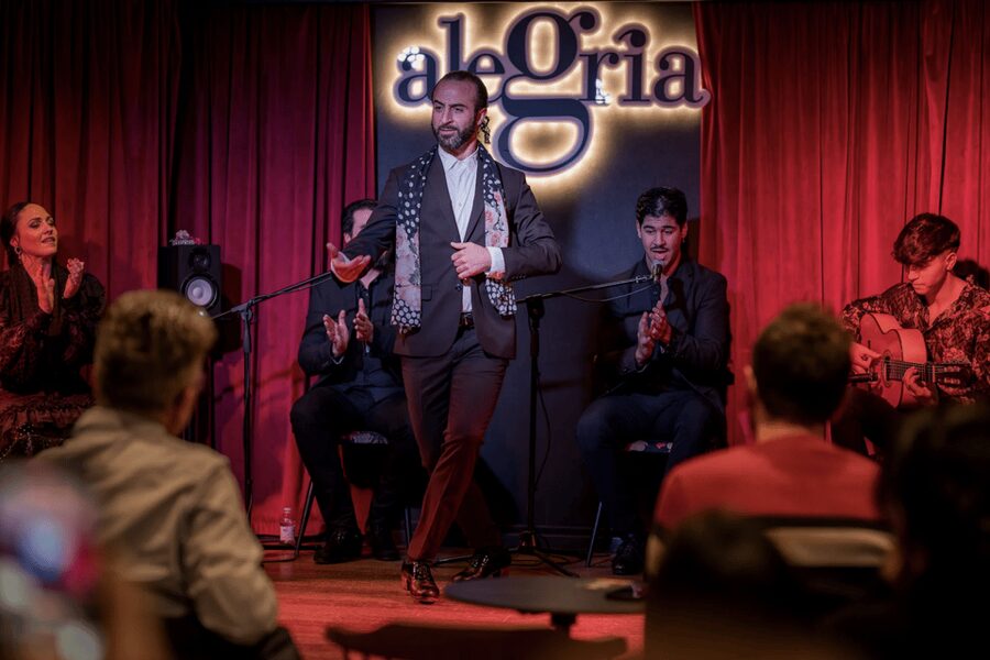 Málaga: Live Flamenco Show at Flamenco Alegría - Flamenco Alegría at a glance