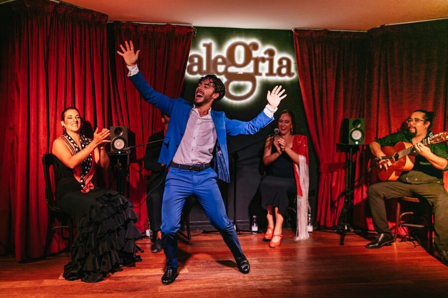 Málaga: Live Flamenco Show at Flamenco Alegría - Tapas and drinks before the first note