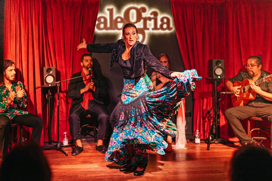 Málaga: Live Flamenco Show at Flamenco Alegría - What $30 buys you in Málaga