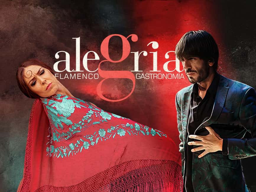 Málaga: Live Flamenco Show at Flamenco Alegría - From opening dance to guitar solo
