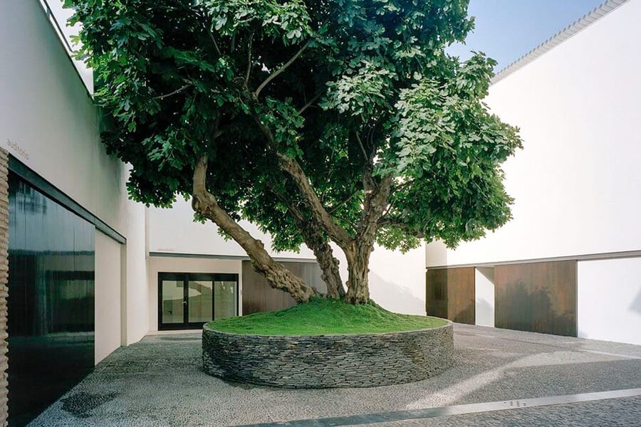 Málaga: Museo Picasso Málaga Entry Ticket - Temporary exhibitions add value to the ticket