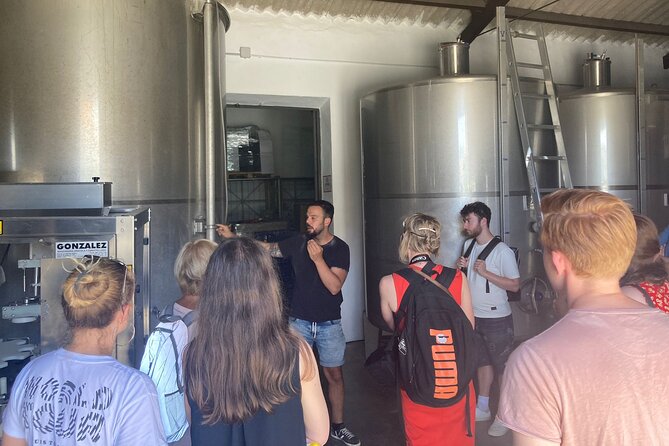 Malaga Organic Vineyard and Winery Six Wines Tapas and Transfer - Walking through Viñedo Malvajio at 400 meters