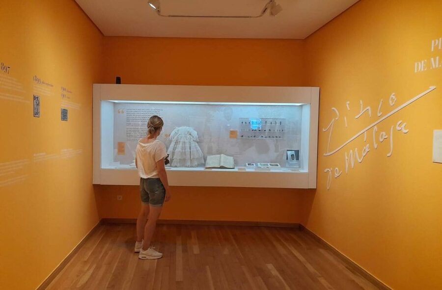 Málaga: Picasso Birthplace Museum Ticket & City Audio Guide - Wheelchair access and practical comfort