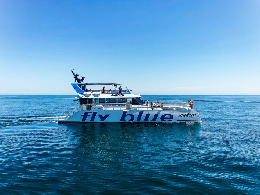 Málaga: Scenic Catamaran Cruise - Who will enjoy this cruise most?