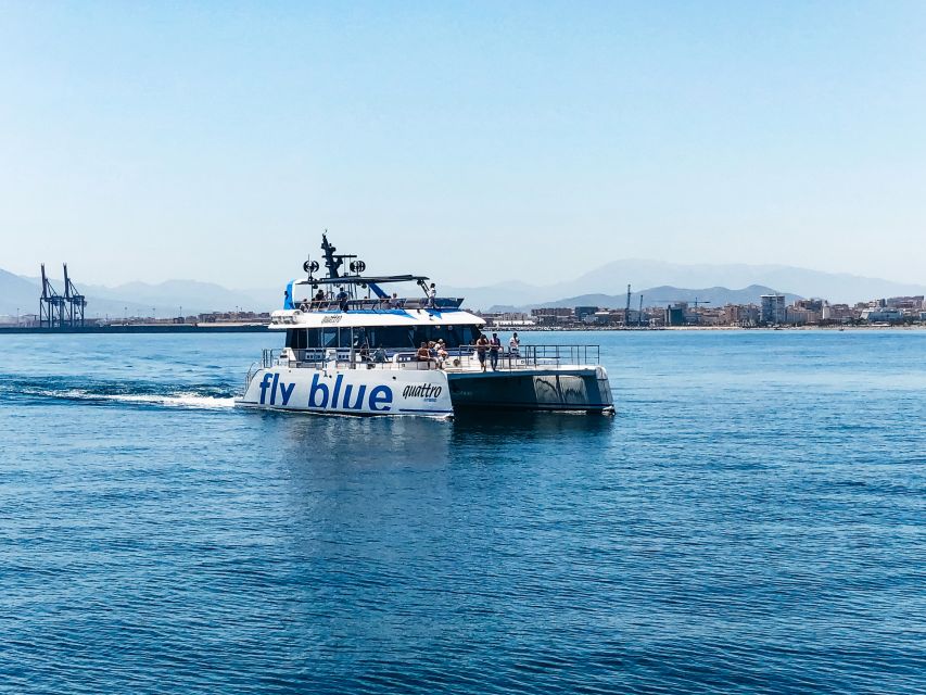 Málaga: Scenic Catamaran Cruise - Accessibility and practical limits