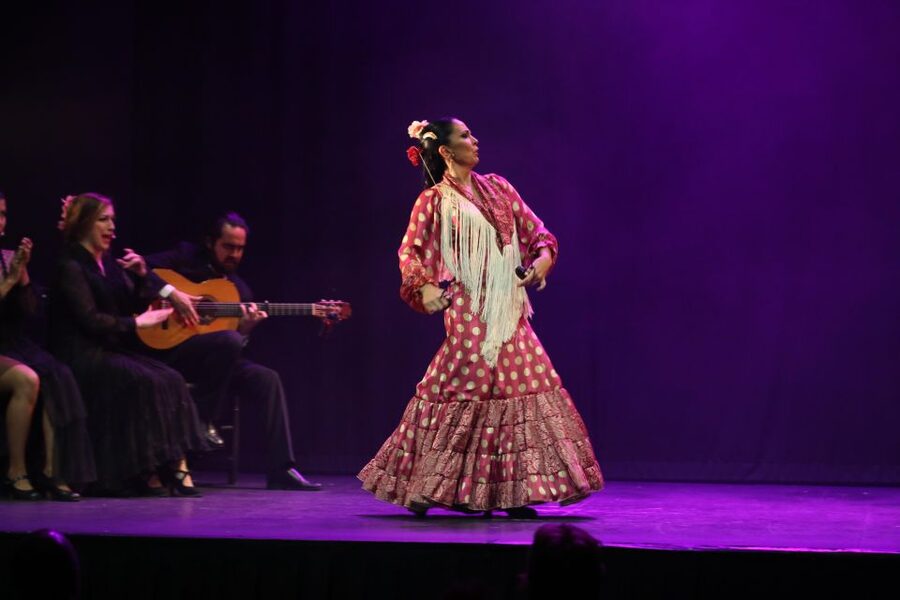 Malaga: Teatro Flamenco Malaga Live Flamenco Show - What happens during Esencia