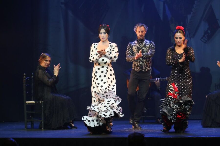 Malaga: Teatro Flamenco Malaga Live Flamenco Show - What you will not get: background explanation