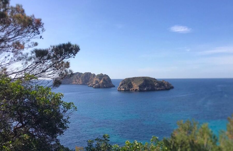 Mallorca: 2-Hour Coastline & Malgrat Islands Catamaran Tour - Who should book this cruise