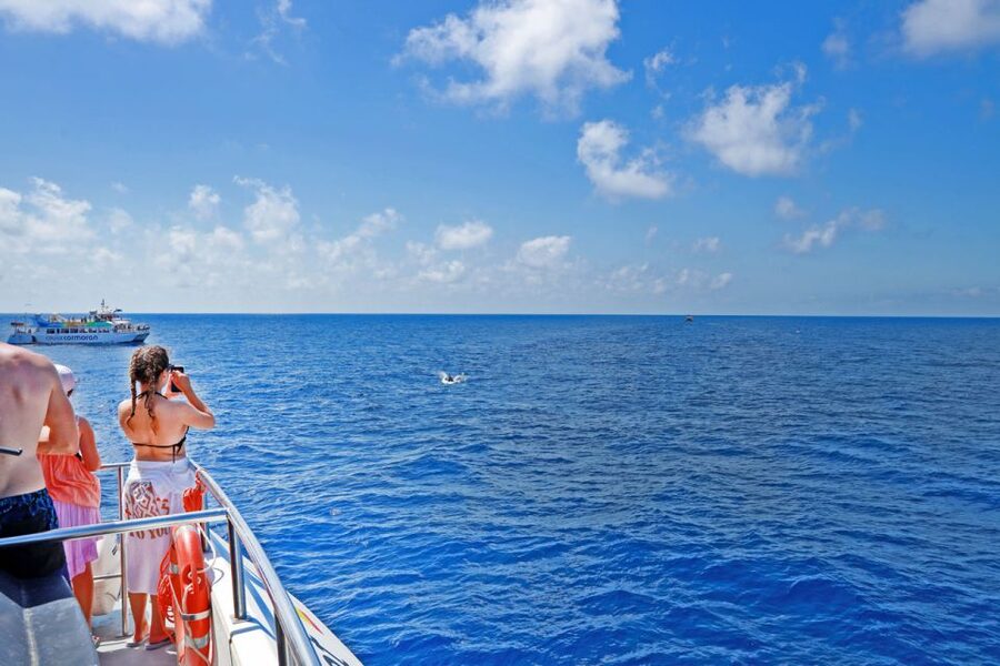 Mallorca: 2-Hour Dolphin Watching Cruise & Glass-Bottom Boat - Finding a good seat on the boat