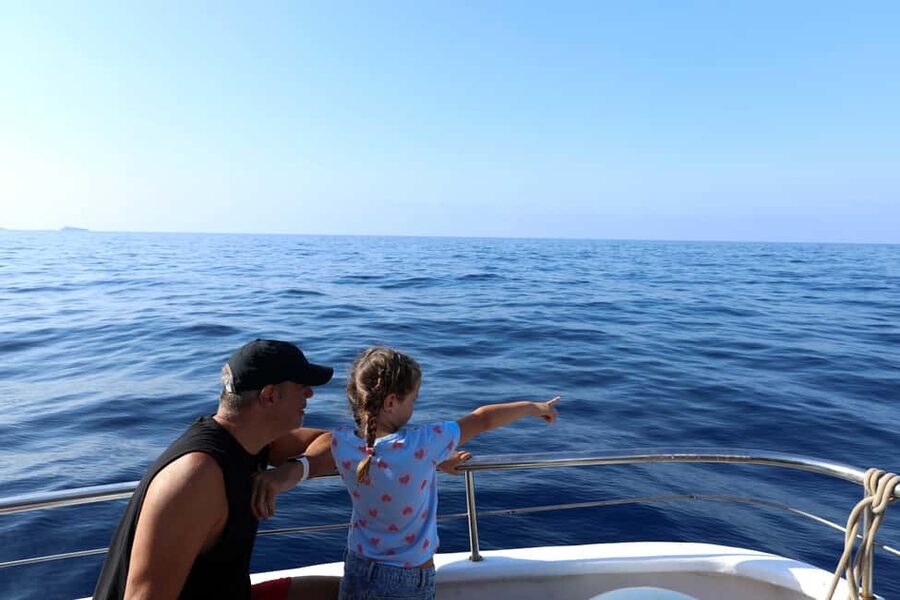 Mallorca: 3-Hour Afternoon Dolphin Watching Boat Tour - The swim stop is a real highlight