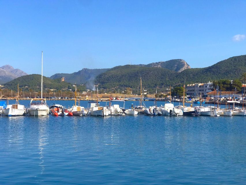 Mallorca: Catamaran Coastal Cruise with Lunch - What this Mallorca cruise is really like
