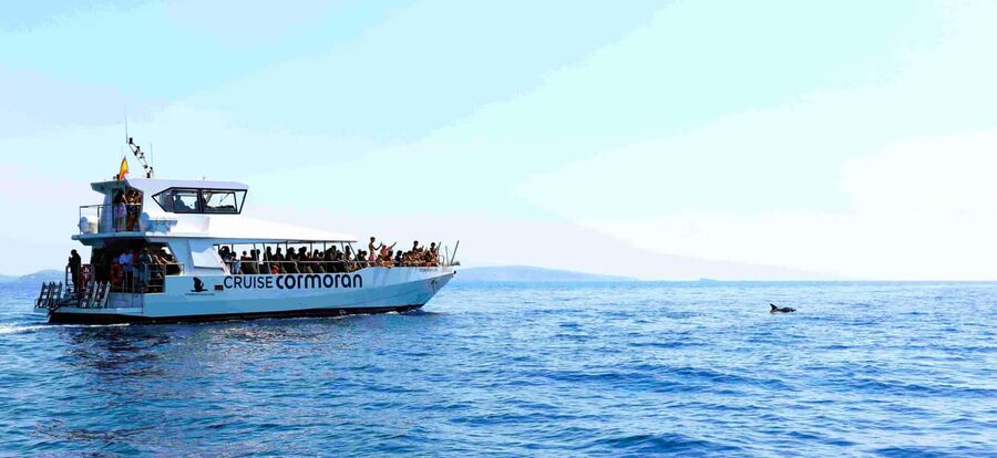 Mallorca: Catamaran Coastal Cruise with Lunch - Swimming at Cala Egos and the second bay