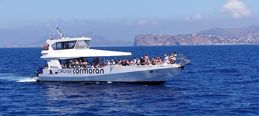Mallorca: Catamaran Coastal Cruise with Lunch - Who will get the most from this trip