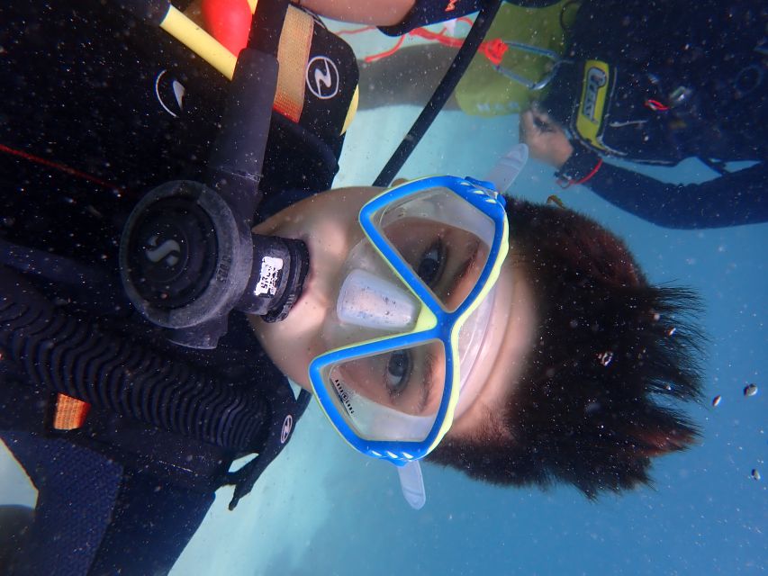 Mallorca: Discover Scuba Diving for Beginners - Transport, meeting points, and the time commitment