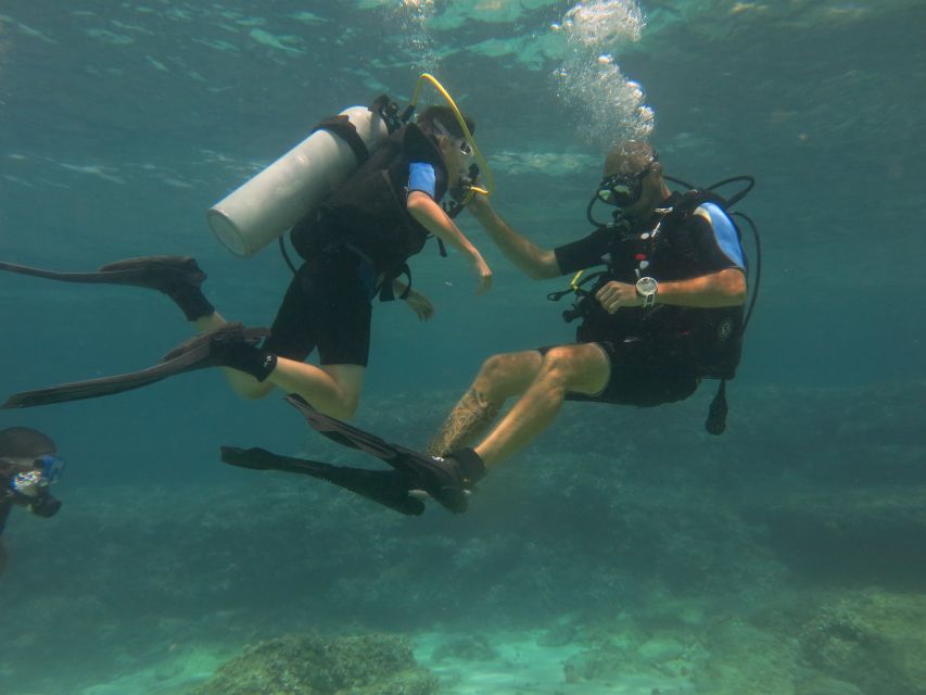 Mallorca: Discover Scuba Diving for Beginners - Is $176 a fair price?