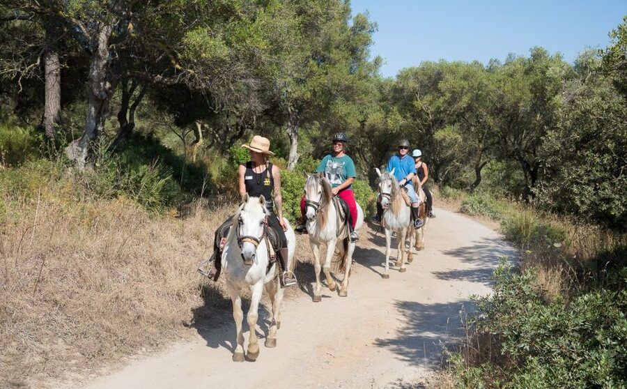 Mallorca: Horseback Riding Excursion and Wine Tasting - Getting to Ranxo Ses Roques