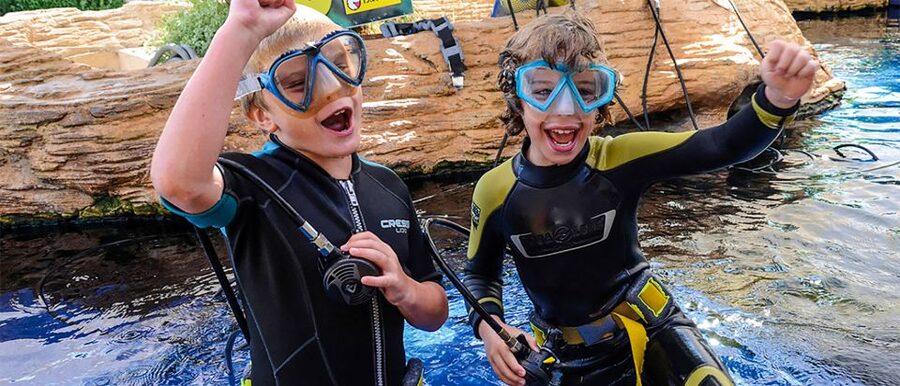 Mallorca: Palma Aquarium Entry Ticket w/ Optional 3D Cinema - Starting in the Mediterranean habitat