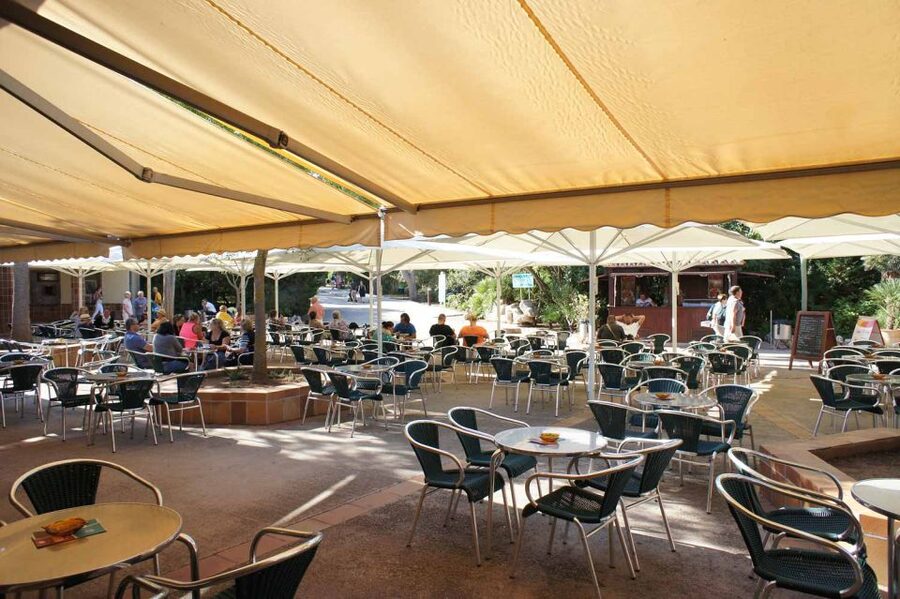 Mallorca: Ticket for Caves of Drach with Pickup Service - Useful planning advice before you go
