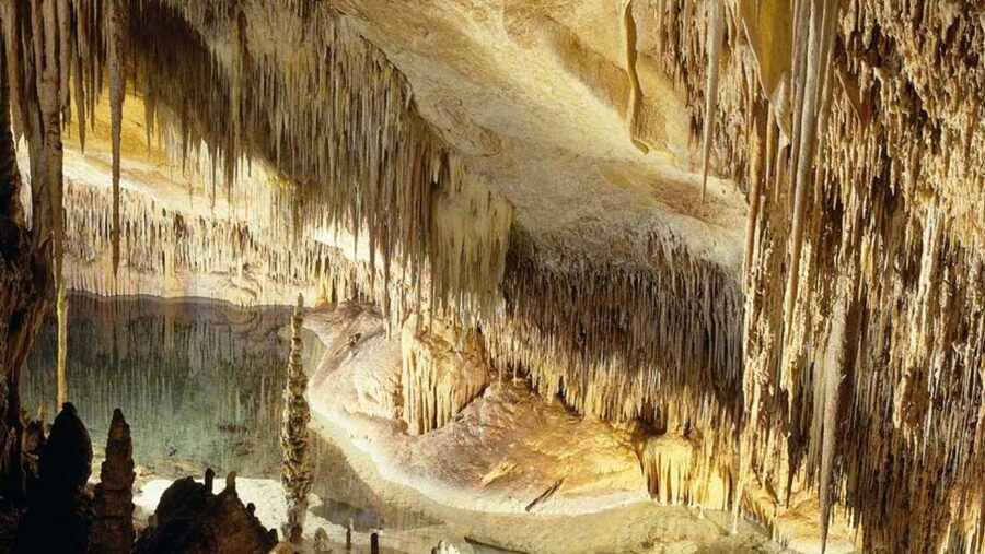 Mallorca: Ticket for Caves of Drach with Pickup Service - A self-guided route with a fixed pace
