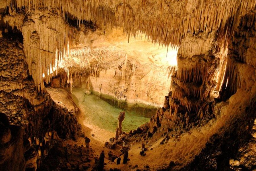 Mallorca: Ticket for Caves of Drach with Pickup Service - Is the $64 price fair?