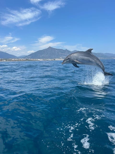 Marbella: Sailing & Dolphin Watching with Snacks and Drinks - Two hours along the Marbella coast