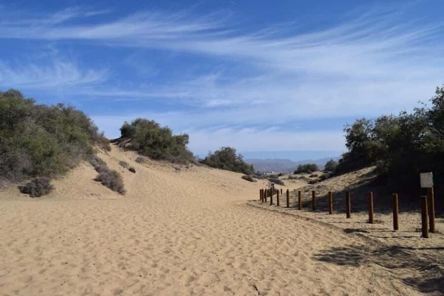 Maspalomas: Guided Camel Ride in the Maspalomas Sand Dunes - Mounting, riding, and seeing the dunes
