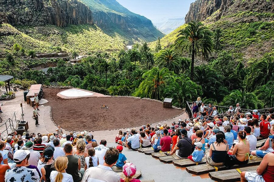 Maspalomas: Palmitos Park Ticket with Dolphin and Bird Shows - Walking, accessibility, and comfort
