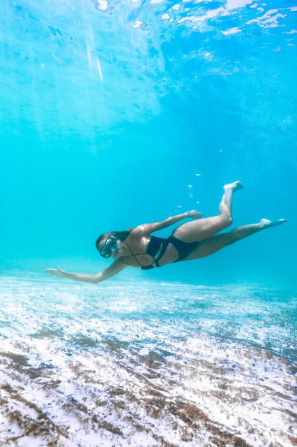Menorca: Natural Coves and Beaches Boat Trip & Paella Lunch - Who should book this Menorca boat trip?