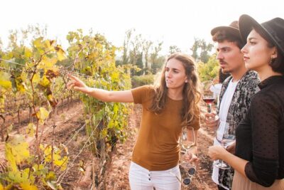 Montserrat & Cogwheel Train, Gourmet Wine Tasting & Tapas/Lunch