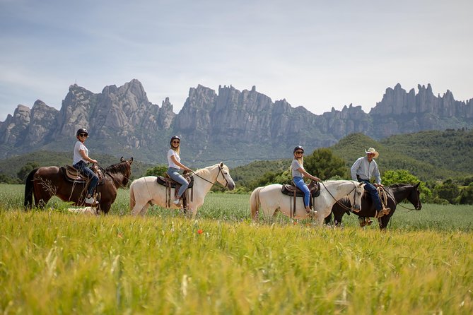 Montserrat Monastery & Horse Riding Experience from Barcelona - Leaving Barcelona along Diagonal Avenue