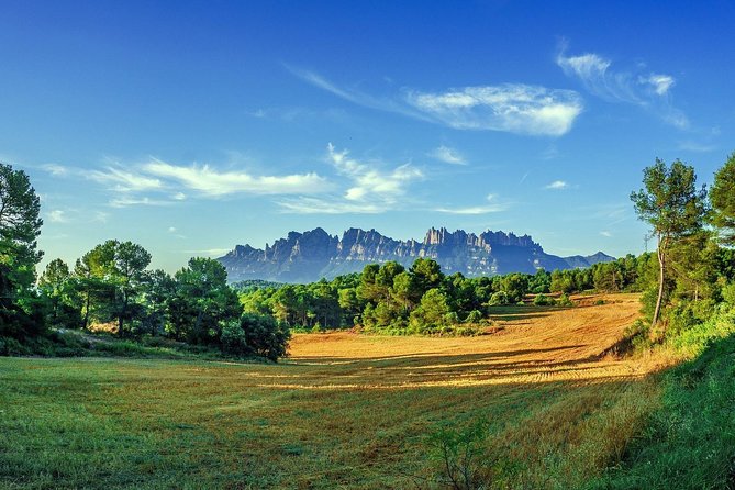 Montserrat Monastery Small Group or Private Tour Hotel pick-up - Small-group transport from Barcelona