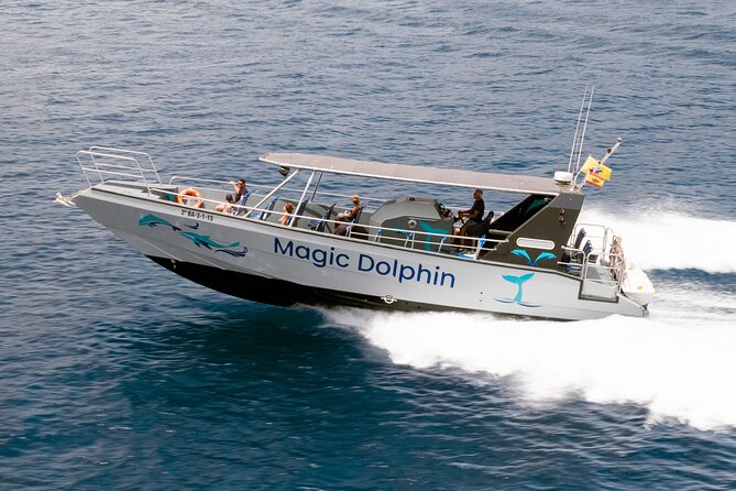 Morro Jable: 2 Hours Magic Dolphin & Whale watching with Drinks & Swim Stop. - Drinks and the Jandia Bay swim stop