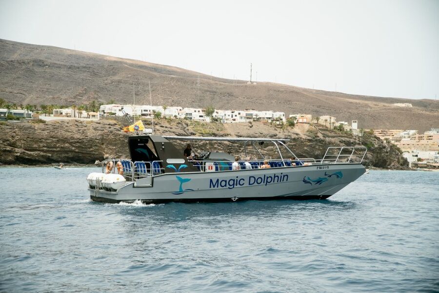 Morro Jable: Dolphin & Whale Watching Cruise, Drinks & Swim - The Jandia swim stop