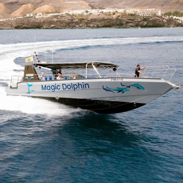 Morro Jable: Dolphin & Whale Watching Cruise, Drinks & Swim - Booking details and final decision