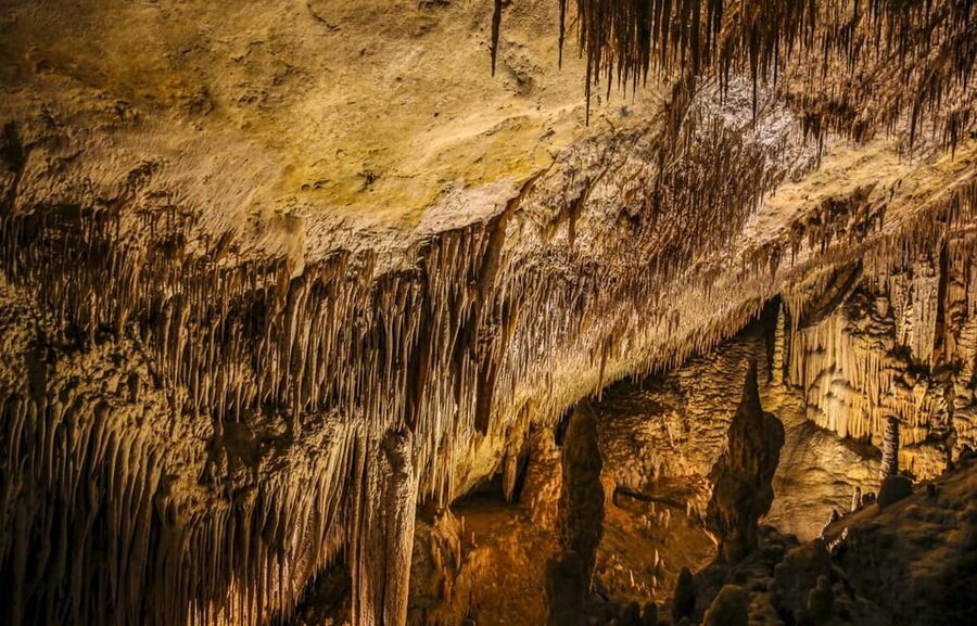 Palma: Caves of Drach Entrance, Music Concert, and Boat Trip - The Palma meeting point and coach ride