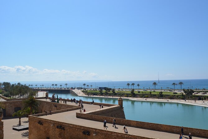 Palma de Mallorca Easy Bike Tour (Small Groups) - Starting with bikes at Call & Ride Mallorca