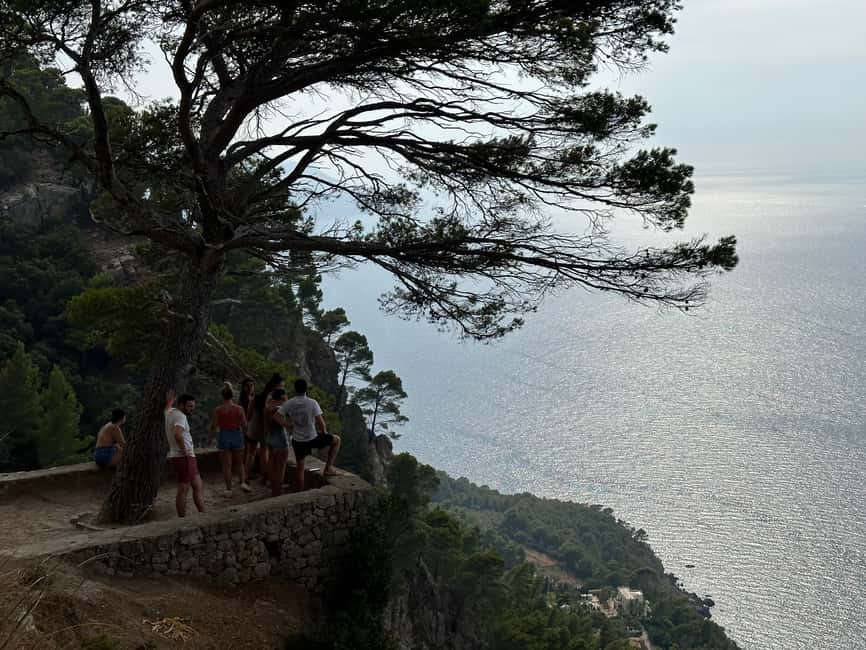 Palma de Mallorca: North Coast Nature Escape Day Tour - Deià gives the day a welcome change of pace