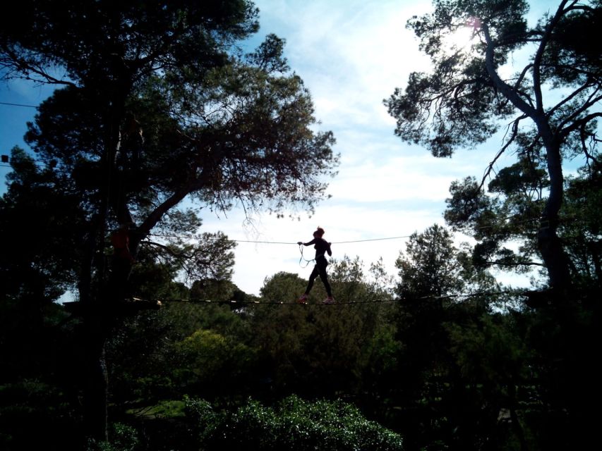 Palma: Family or Sports Course Adventure at Forestal Park - Two courses, one forest adventure