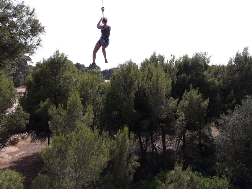 Palma: Family or Sports Course Adventure at Forestal Park - What the visit feels like in hot weather
