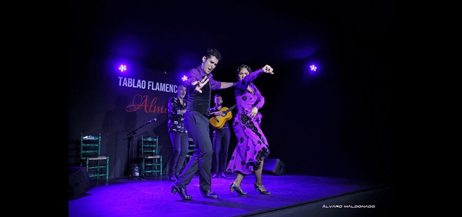 Palma: Flamenco Show at Tablao Flamenco Alma with Drink - The dancers bring the sharpest physical drama