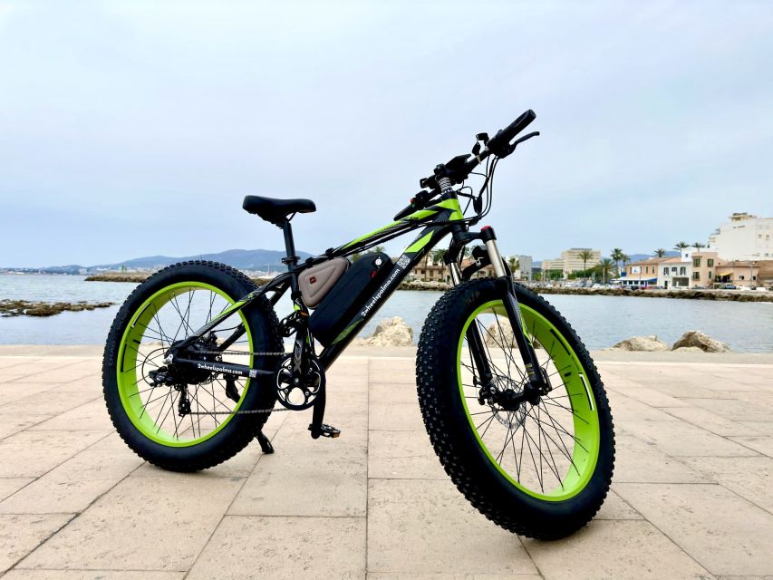Palma: Guided City Tour with a Fat Tire E-Bike - Starting near the Cathedral and Almudaina Palace