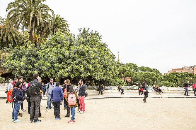 Park Guell Guided Tour with Skip-the-Line Ticket - The one-hour route through Gaudí’s work