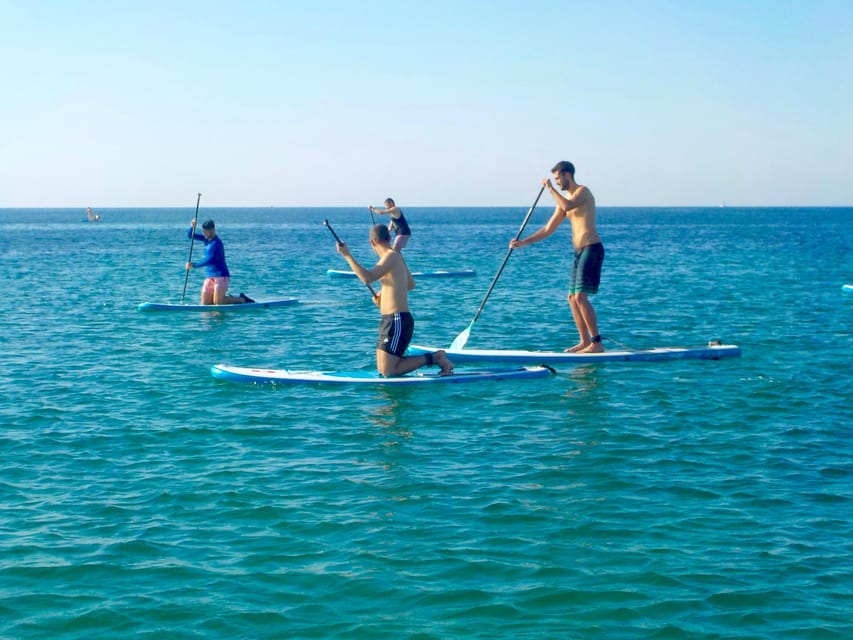 Playa Palma: Stand-up Paddleboard Rental - Who will enjoy this most